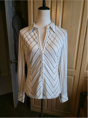 Express brand Women's Long Sleeve White and Black button up Striped Top!. L